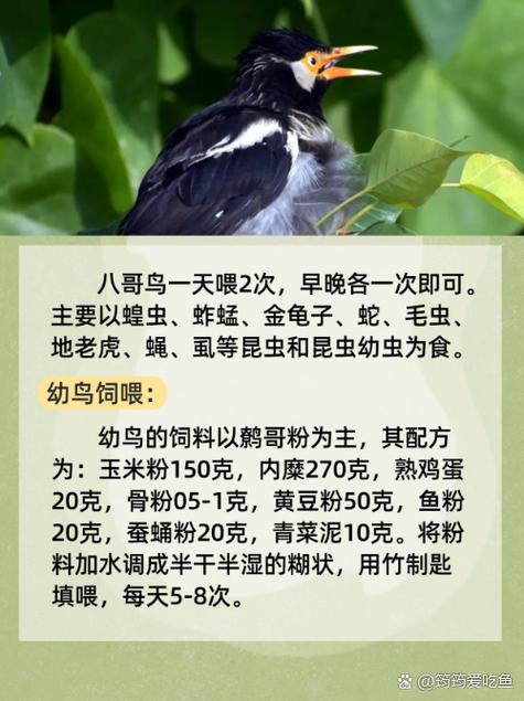 成年人欧美在线视频资源推荐 | 高清无删减影视库 | 海外热门剧集持续更新