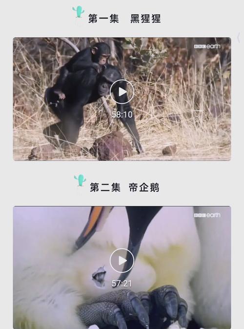 女人下面有黄色分泌物的相关介绍