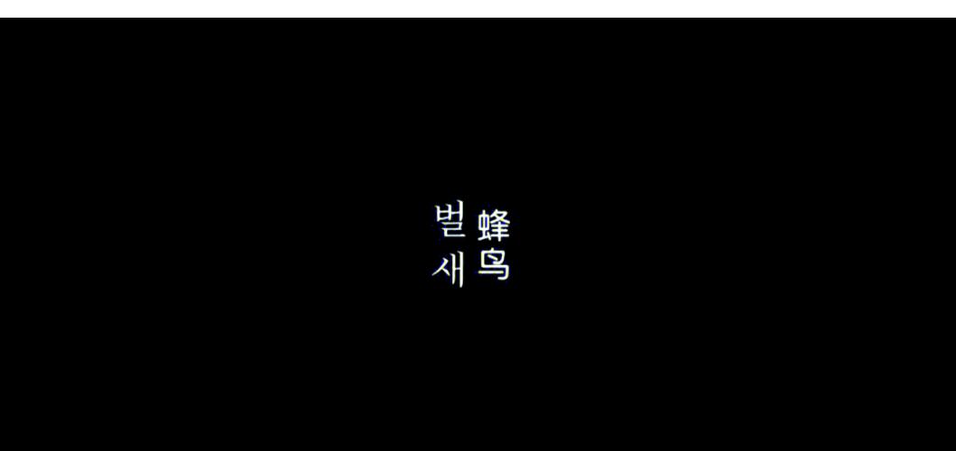 4d电影院的相关介绍
