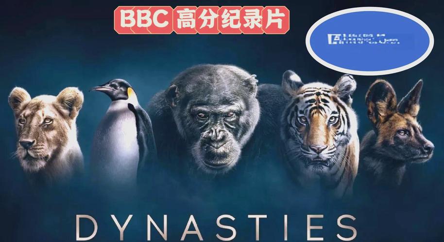 不花钱看毛片的相关介绍