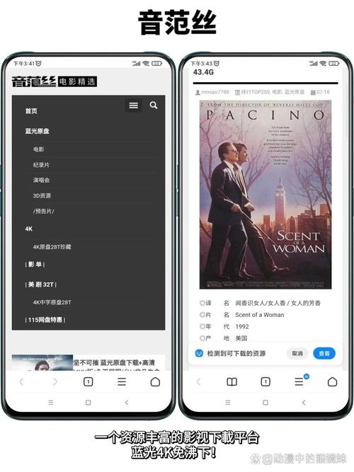 日本东京特殊精油按摩在线的相关介绍