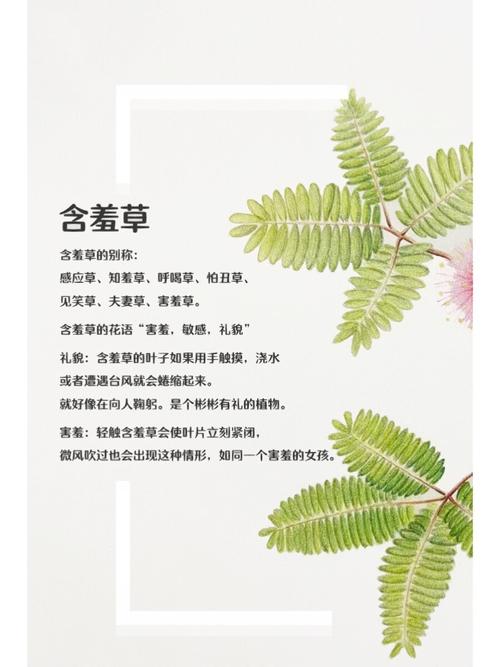亚洲男人天堂.的相关介绍