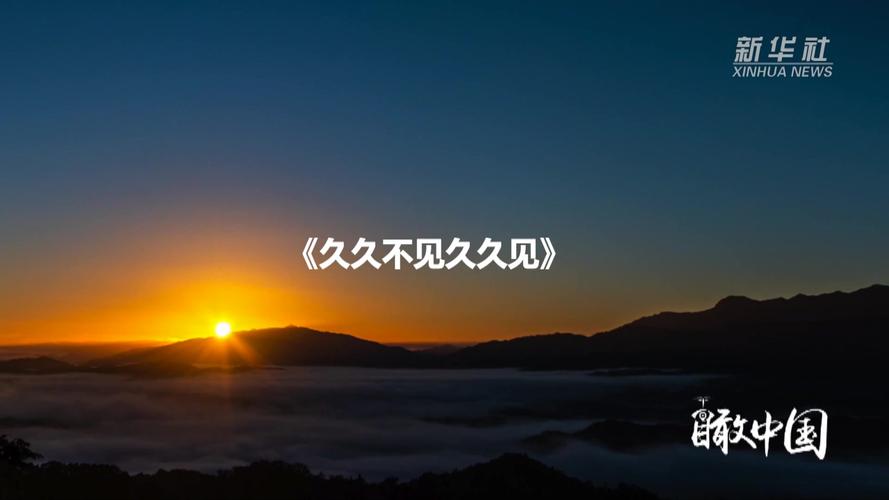 伊人久久男人的天堂的相关介绍