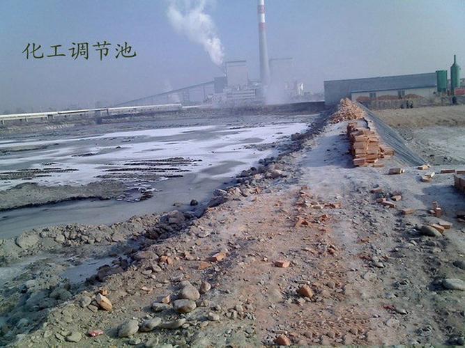 双性受宫交的相关介绍