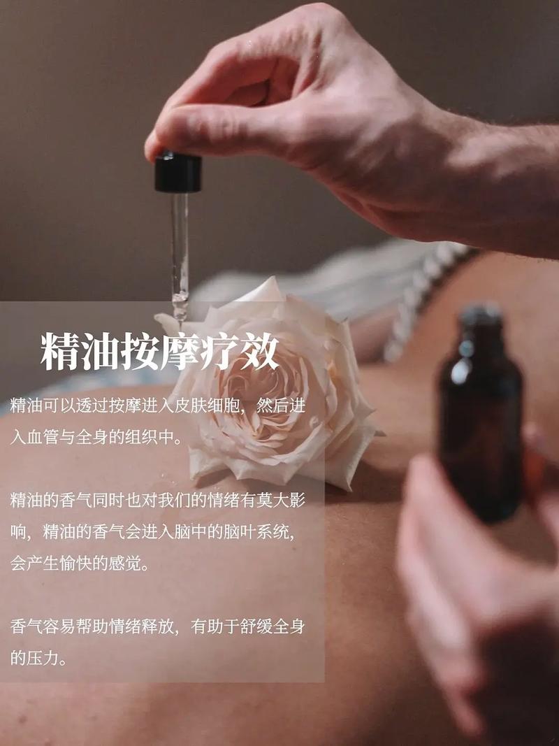 2018伊人视频影院高清资源在线观看 - 经典影片回顾与长尾关键词推荐