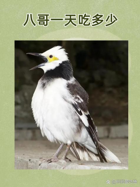 懂色av久久的相关介绍