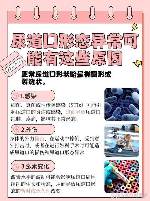 人妻啪啪2的相关介绍
