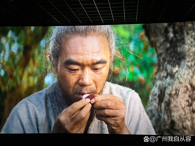 在线波多日本的相关介绍