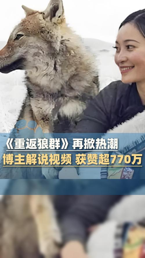美女被各种姿势操舒服的相关介绍