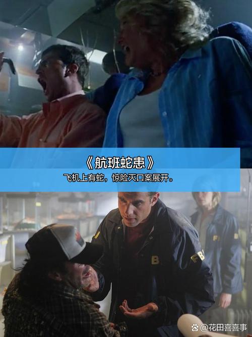 看毛片在线观看的相关介绍