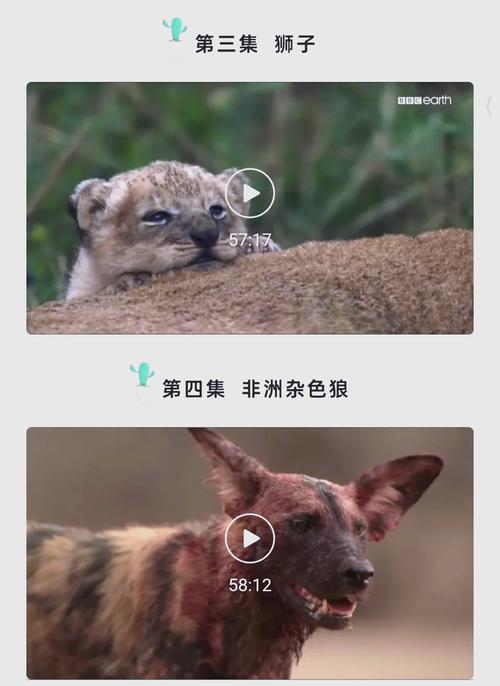 色片久久久的相关介绍