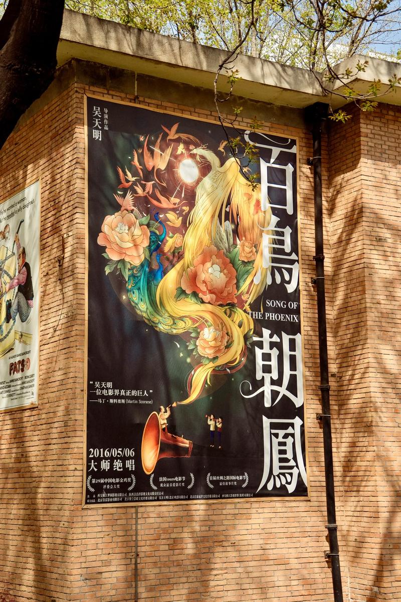 久久久久久精品精品免费的相关介绍