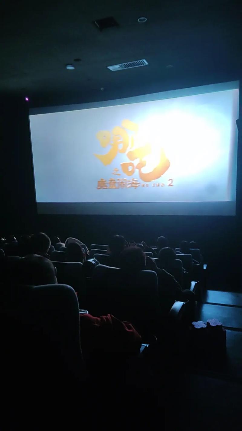 大尺度擦边球写真的相关介绍