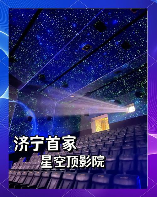好看的视频app下载的相关介绍