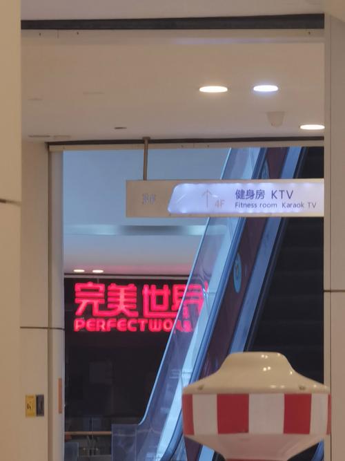 伦理啪啪啪啪的相关介绍