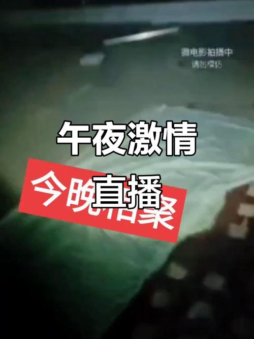 海淀工人文化宫电影院的相关介绍