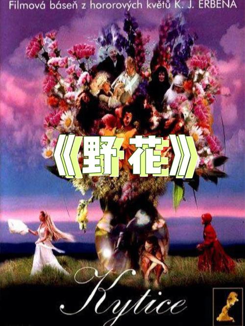 未成年禁止入口的相关介绍