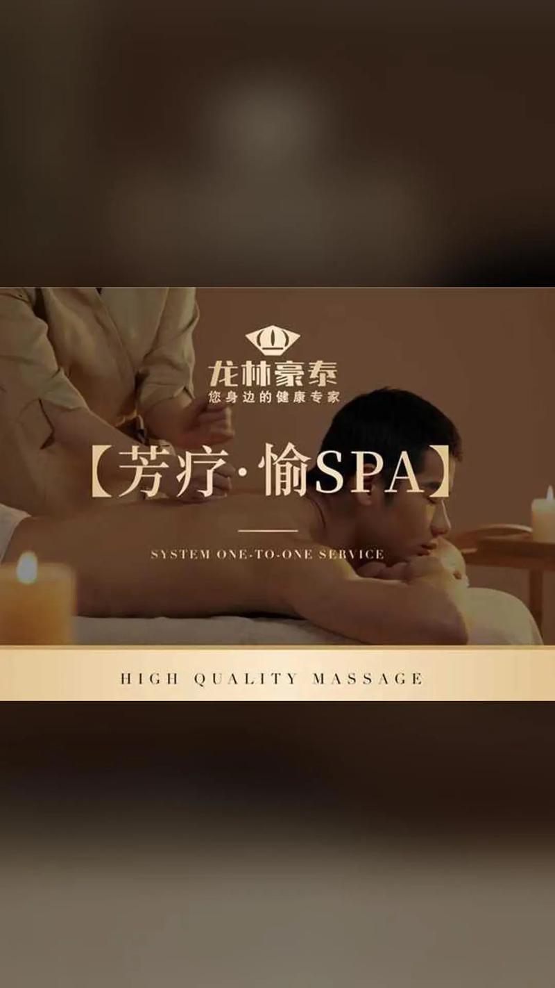高h,调教)的相关介绍