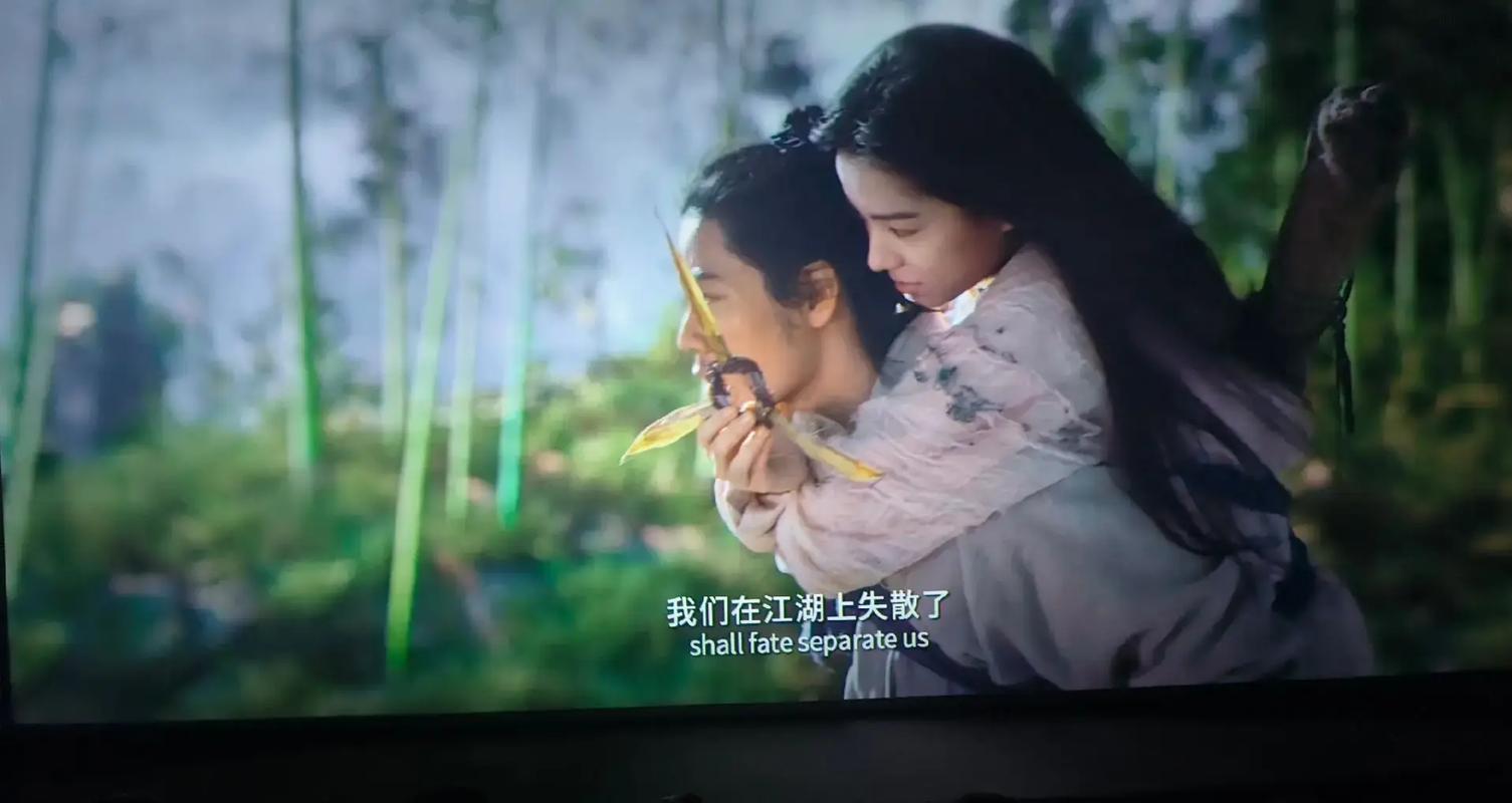 国内精品久久久久久婷婷的相关介绍