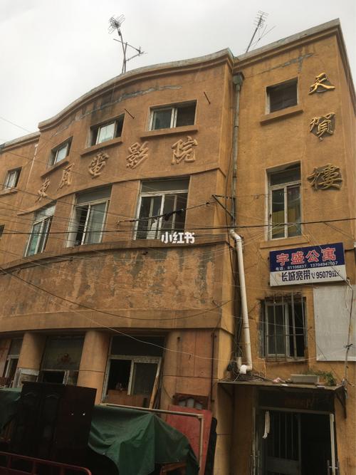女性青黄色分泌物的相关介绍