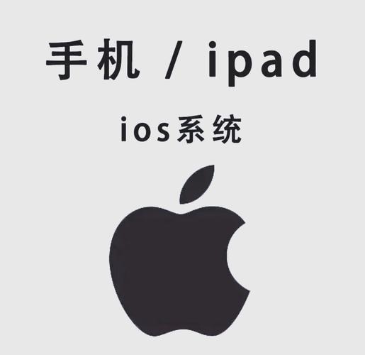 97影院手机版962在线观看 - 高清免费影视平台962版资源