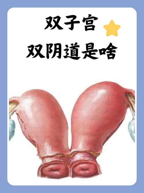 狠狠影院的相关介绍