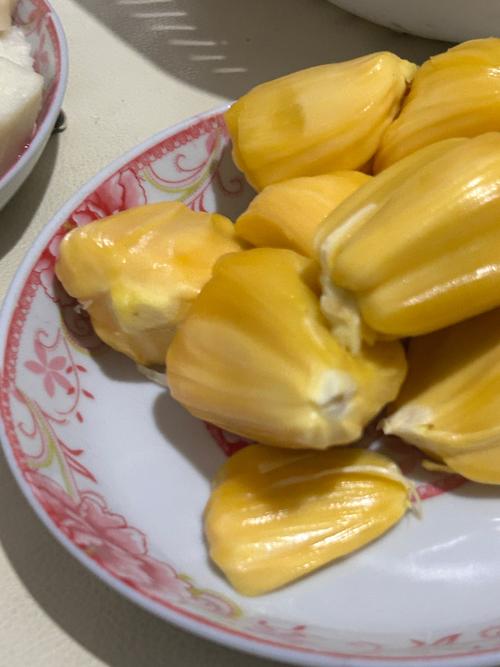 99精品久久久久久的相关介绍