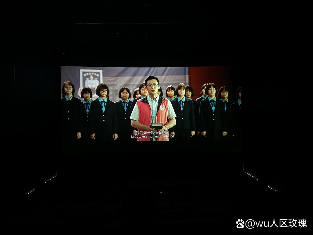 私人影院无在线码免费的相关介绍
