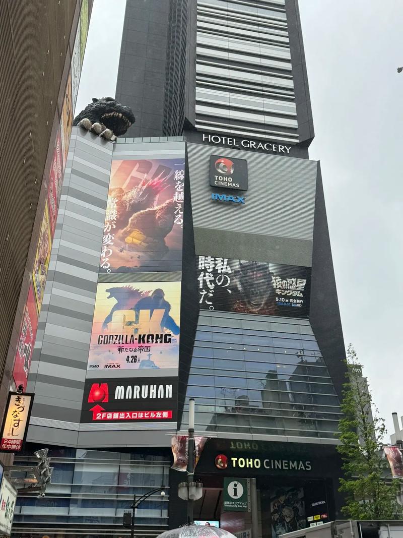 a精品久久久的相关介绍