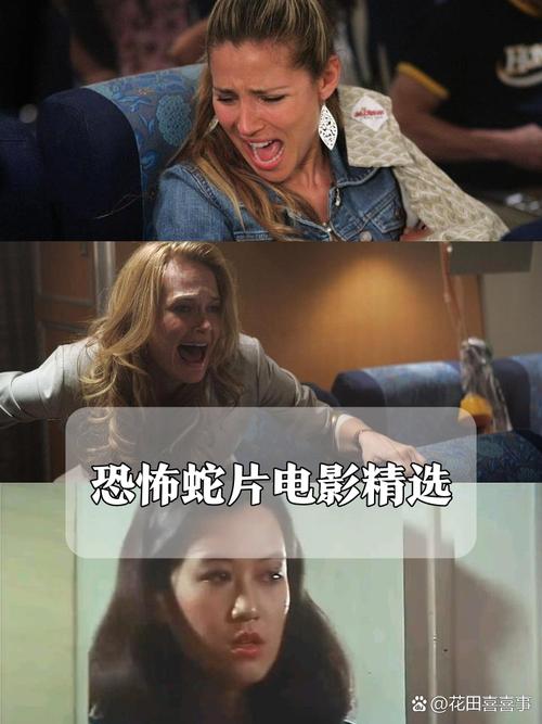 97影院午夜在线观看视播放的相关介绍