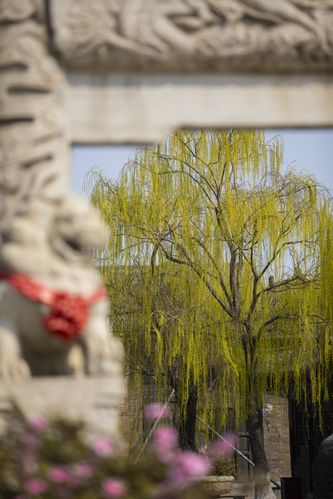 孕妇可以去电影院吗的相关介绍