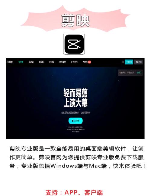 女秘书完整的相关介绍