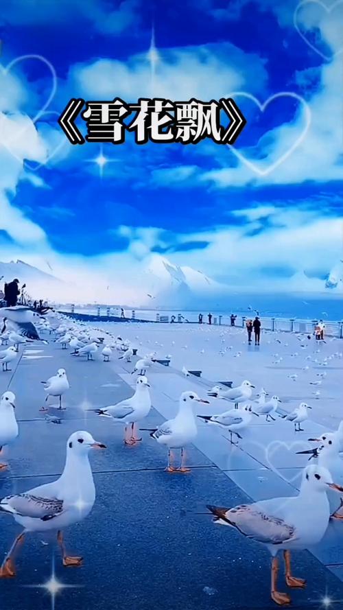 大乳女老板的相关介绍