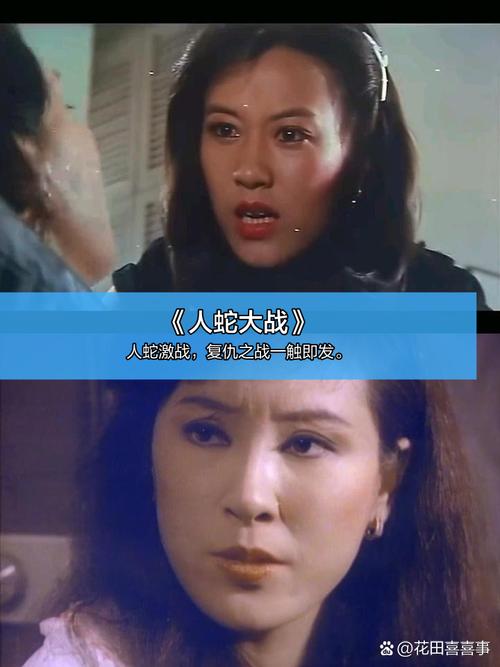 3片毛片3片毛片的相关介绍