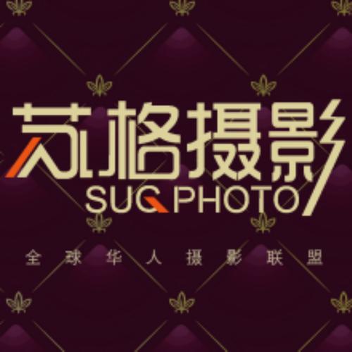 每日影院的相关介绍