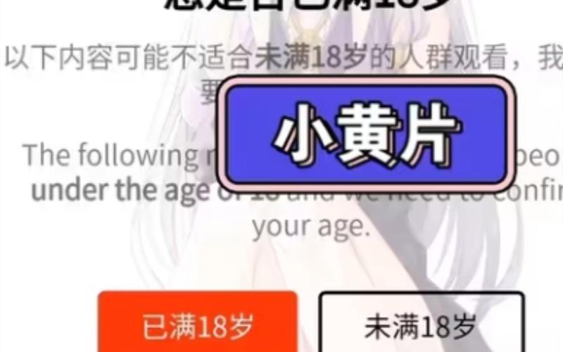 国产十八熟妇av成人一区的相关介绍