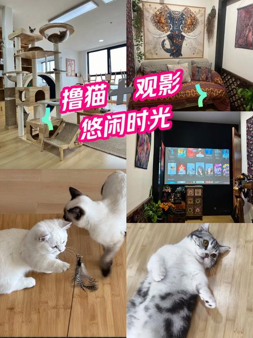 女人白带黄色是什么原因的相关介绍
