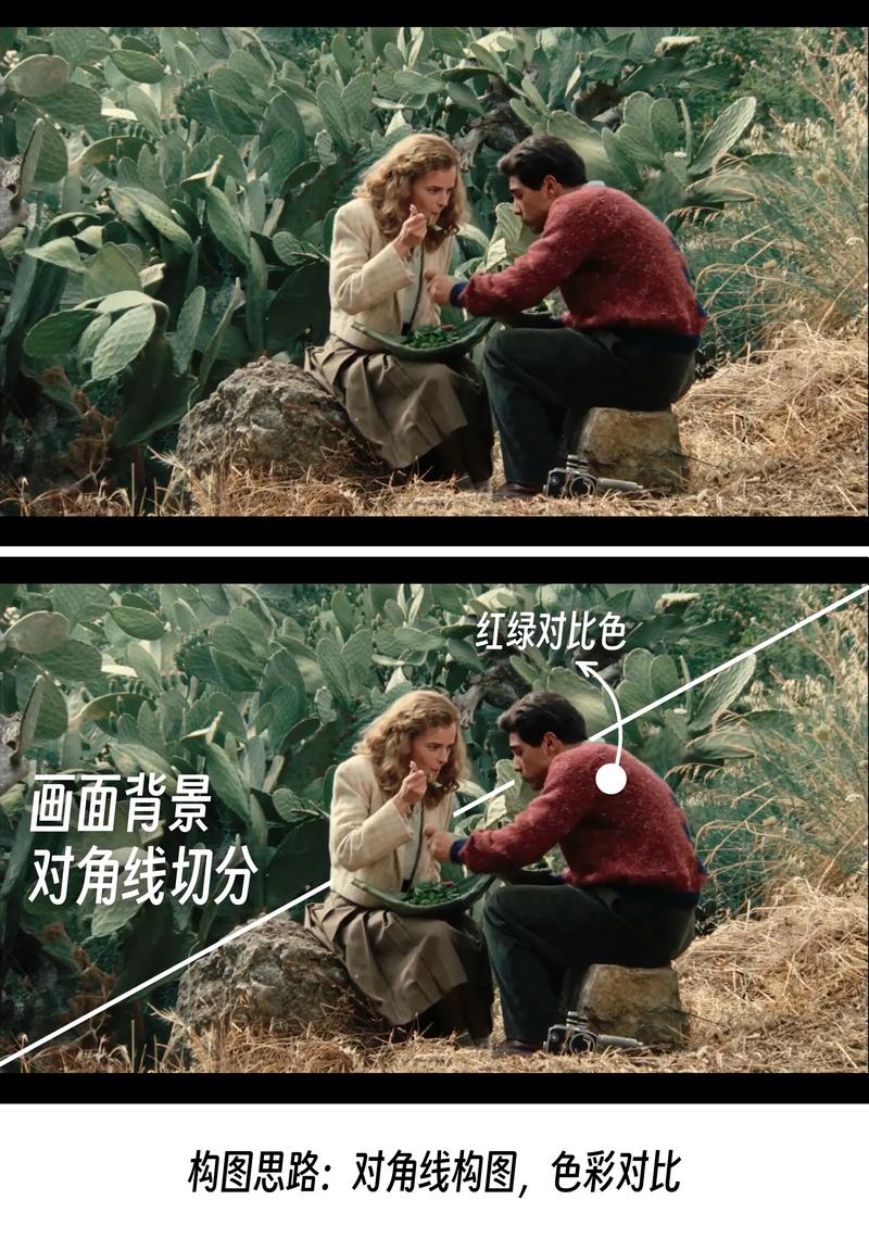 国产黄片久久久久久的相关介绍