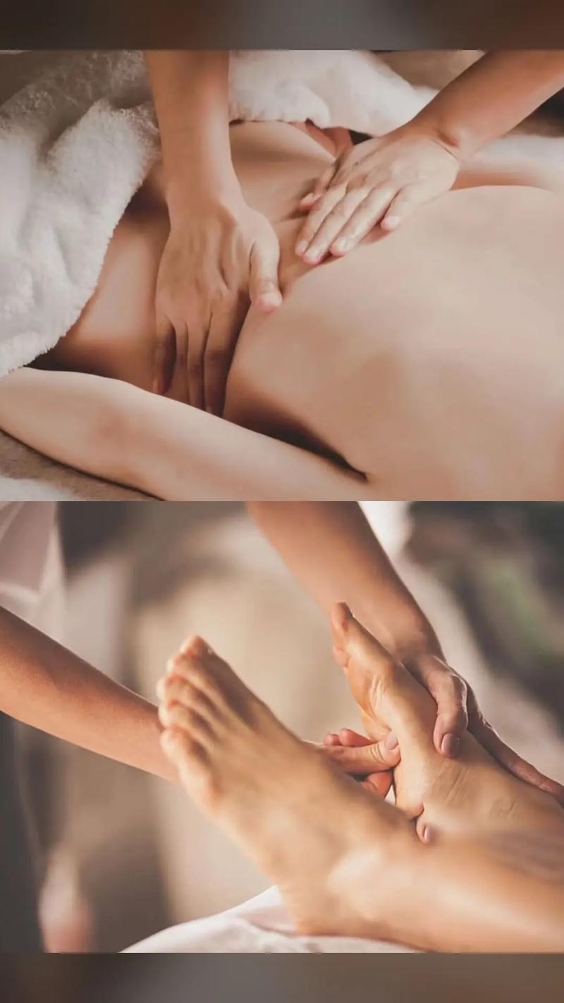 女人18免费视频的相关介绍