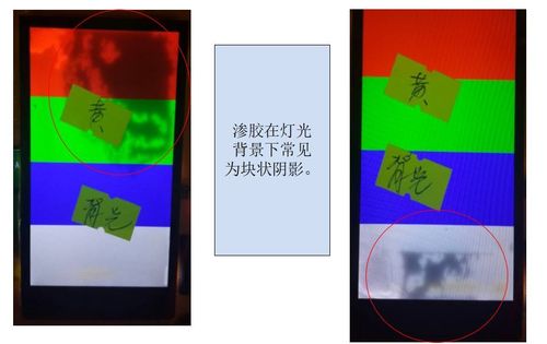 米奇激情久久的相关介绍