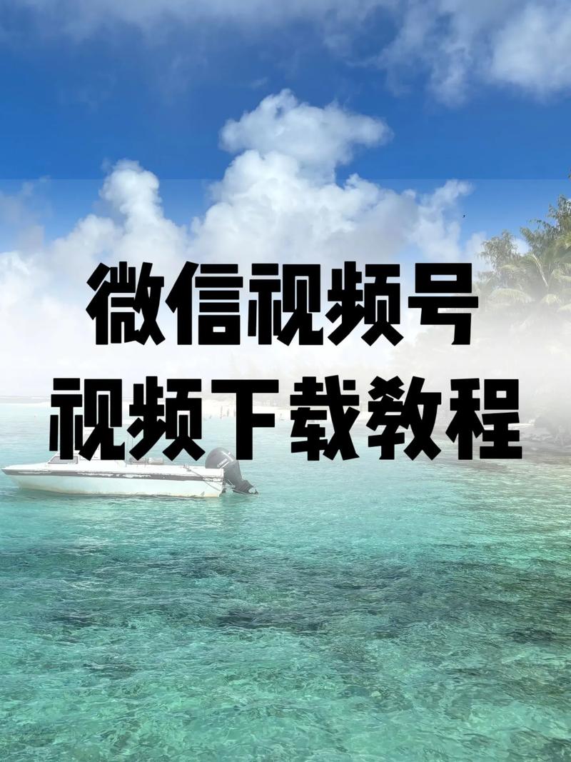 乐播影院的相关介绍