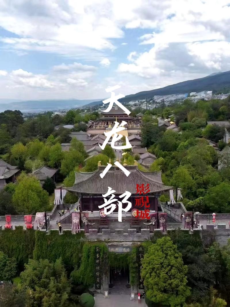 儿子操美女的相关介绍