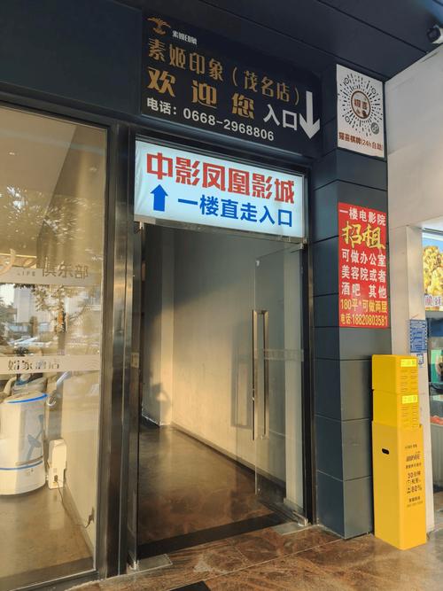 iidvd影院的相关介绍