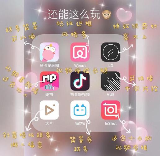 日本波老师的相关介绍