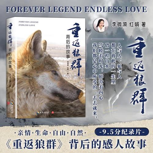 雅图影院的相关介绍
