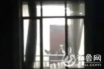 激情五月久久久久久电影的相关介绍