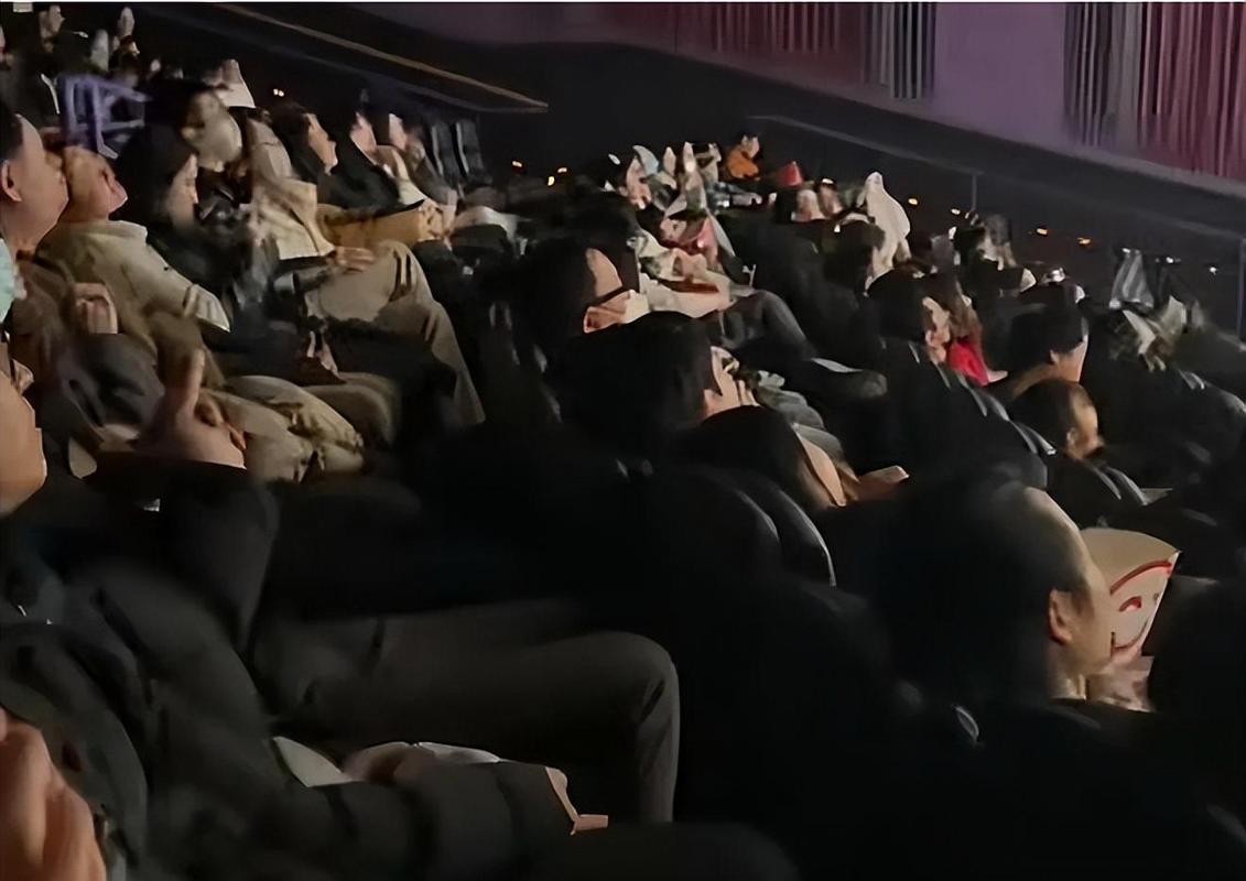 婷婷午夜电影院手机福利在线看的相关介绍