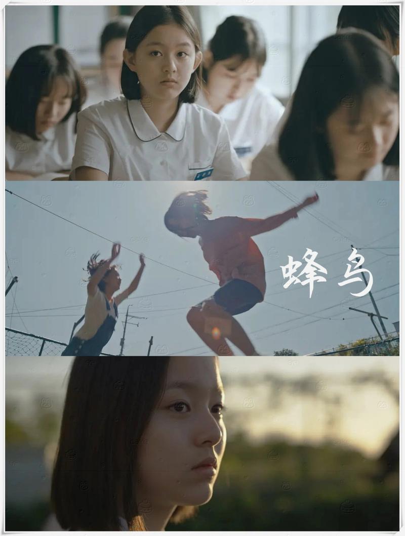 高清毛片在线看的相关介绍