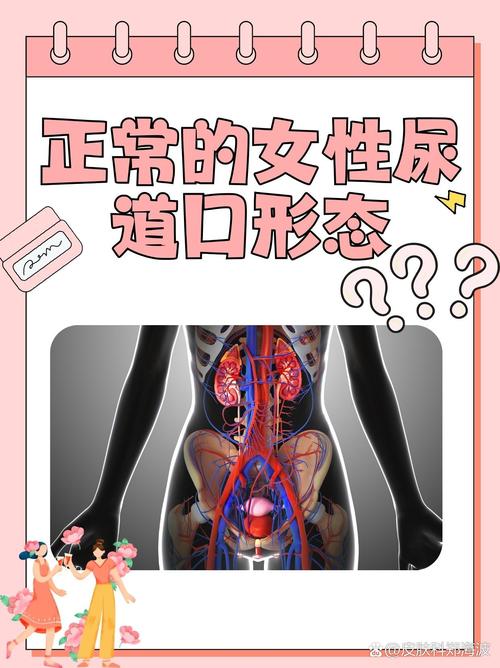 91人妻刺激的相关介绍